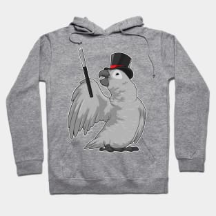 Parrot Wizard Magic wand Hoodie